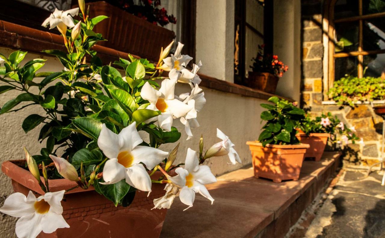 Hostal Montserrat Montseny Exterior photo